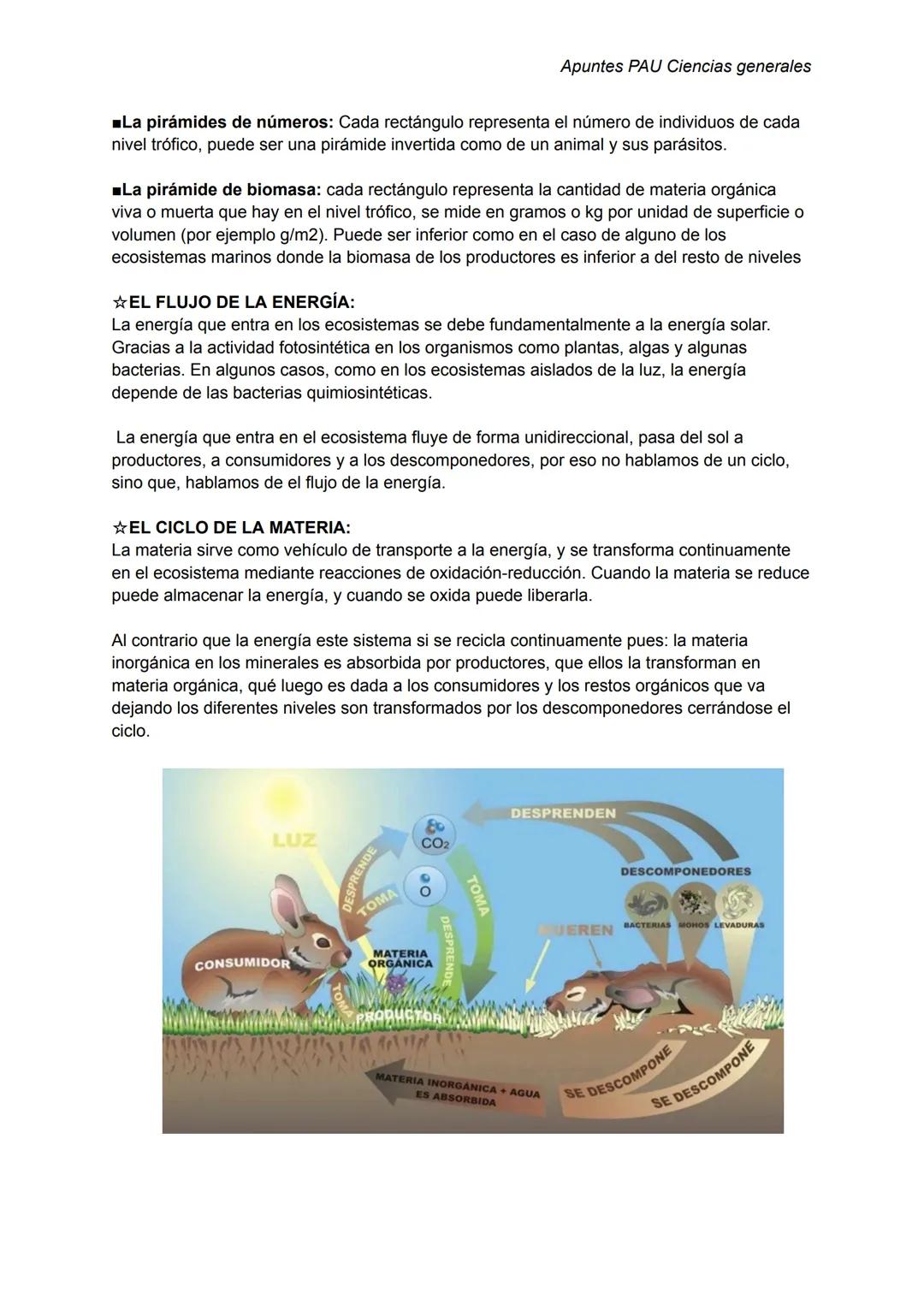 Apuntes PAU Ciencias generales
ECOLOGÍA:
☆ECOSISTEMAS:
Es el conjunto de seres vivos y factores ambientales que existen en una zona determin