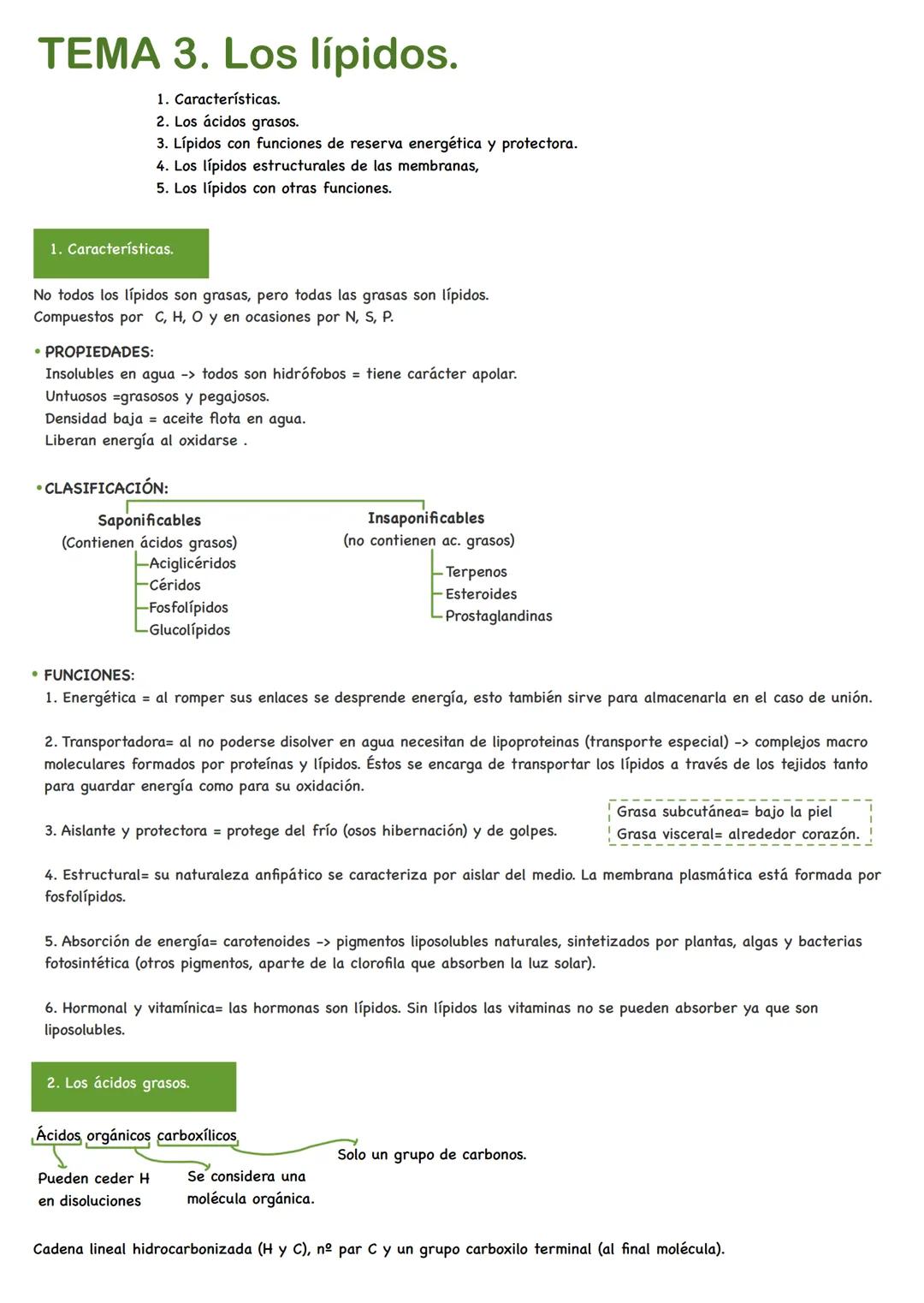 TEMA 3. Los lípidos.
1. Características.
2. Los ácidos grasos.
3. Lípidos con funciones de reserva energética y protectora.
4. Los lípidos e