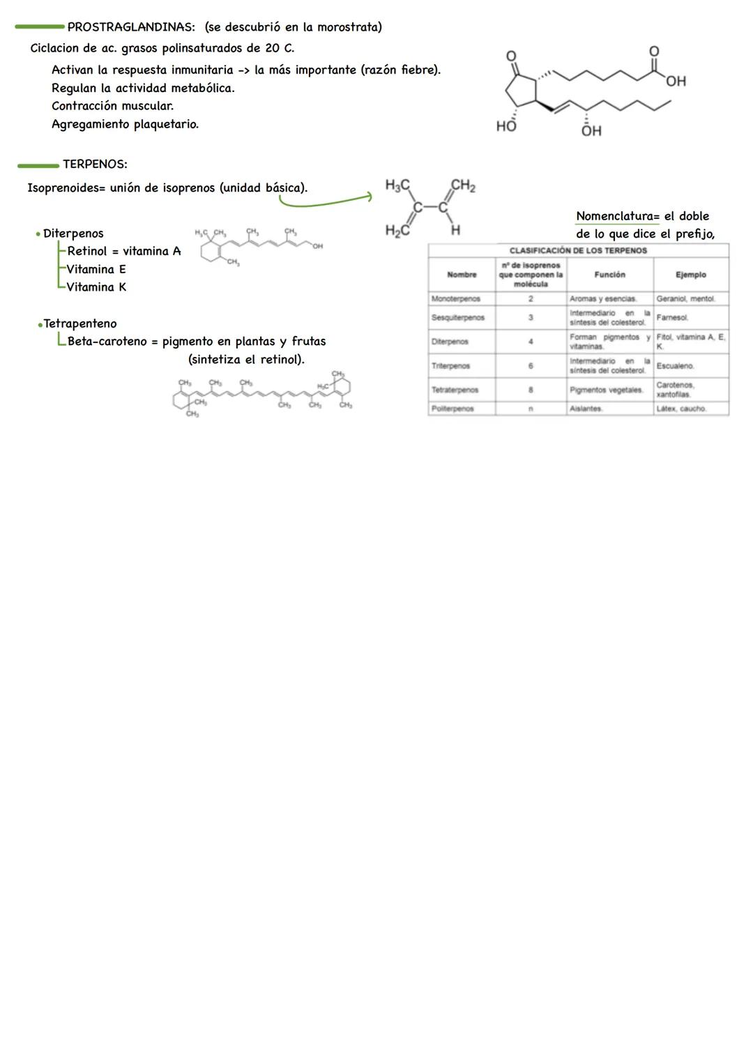 TEMA 3. Los lípidos.
1. Características.
2. Los ácidos grasos.
3. Lípidos con funciones de reserva energética y protectora.
4. Los lípidos e