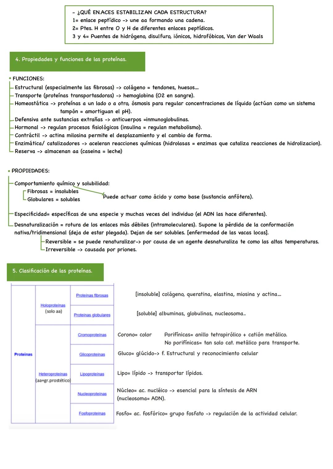 TEMA 4. Proteínas y acción enzimática.
1. Aminoácidos.
2. Enlace péptico.
3. Estructura de las proteínas.
4. Propiedades y funciones de las