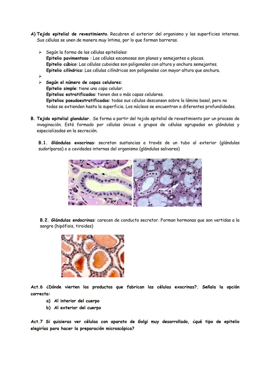 # TEMA 1: ORGANIZACIÓN BÁSICA DEL CUERPO HUMANO
INTRODUCCIÓN
1. FUNCIONES VITALES DE LOS SERES VIVOS
2. HOMEOSTASIS
3. NIVELES DE ORGANI