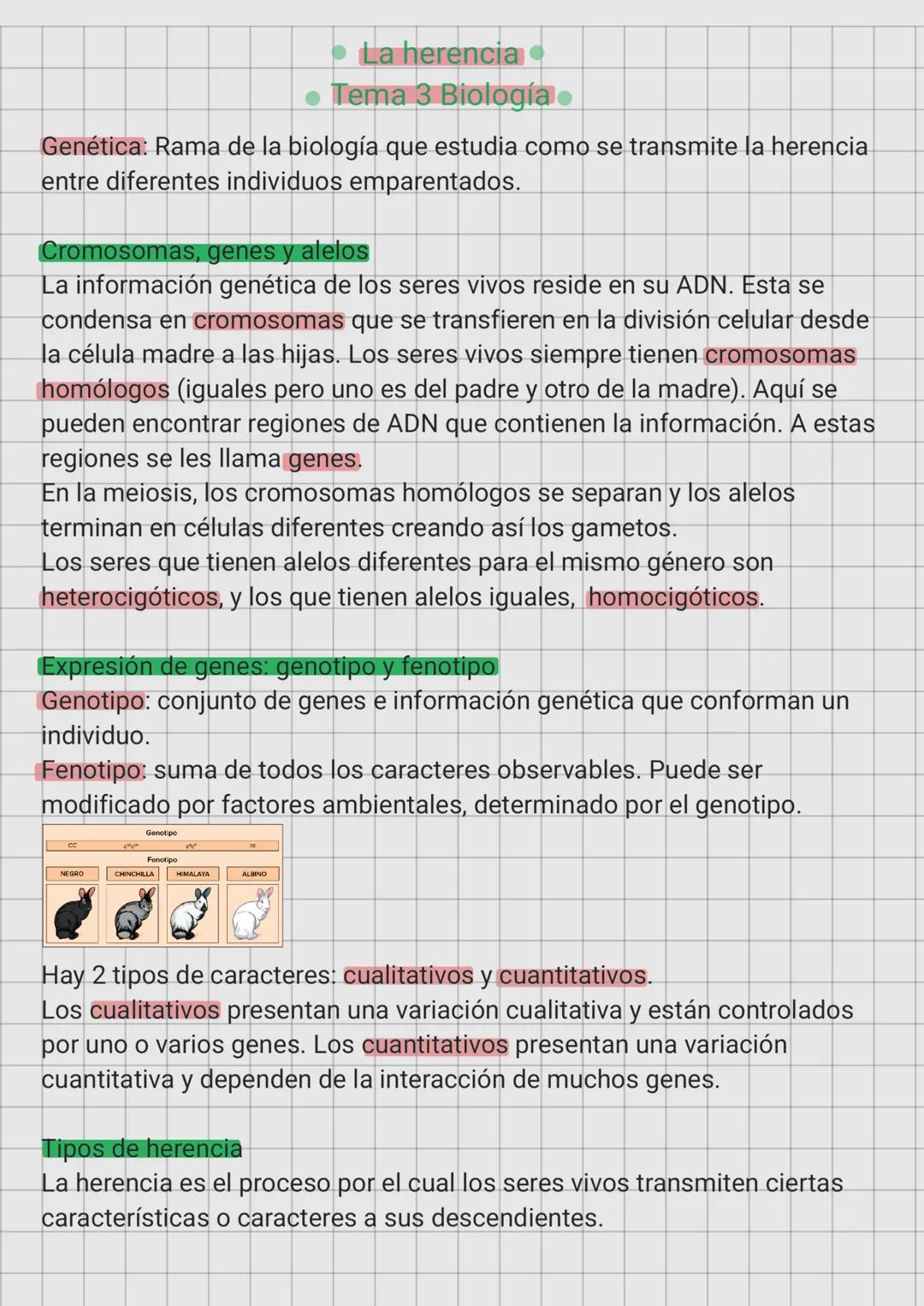 Genética básica 4 ESO