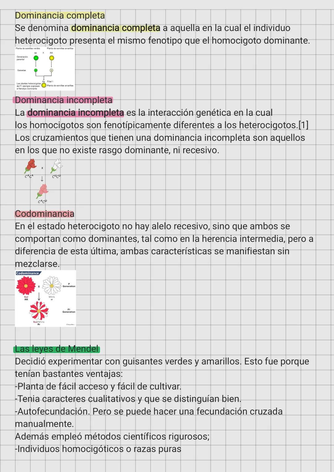 - La herencia
- Tema 3 Biología
Genética: Rama de la biología que estudia como se transmite la herencia
entre diferentes individuos emparen