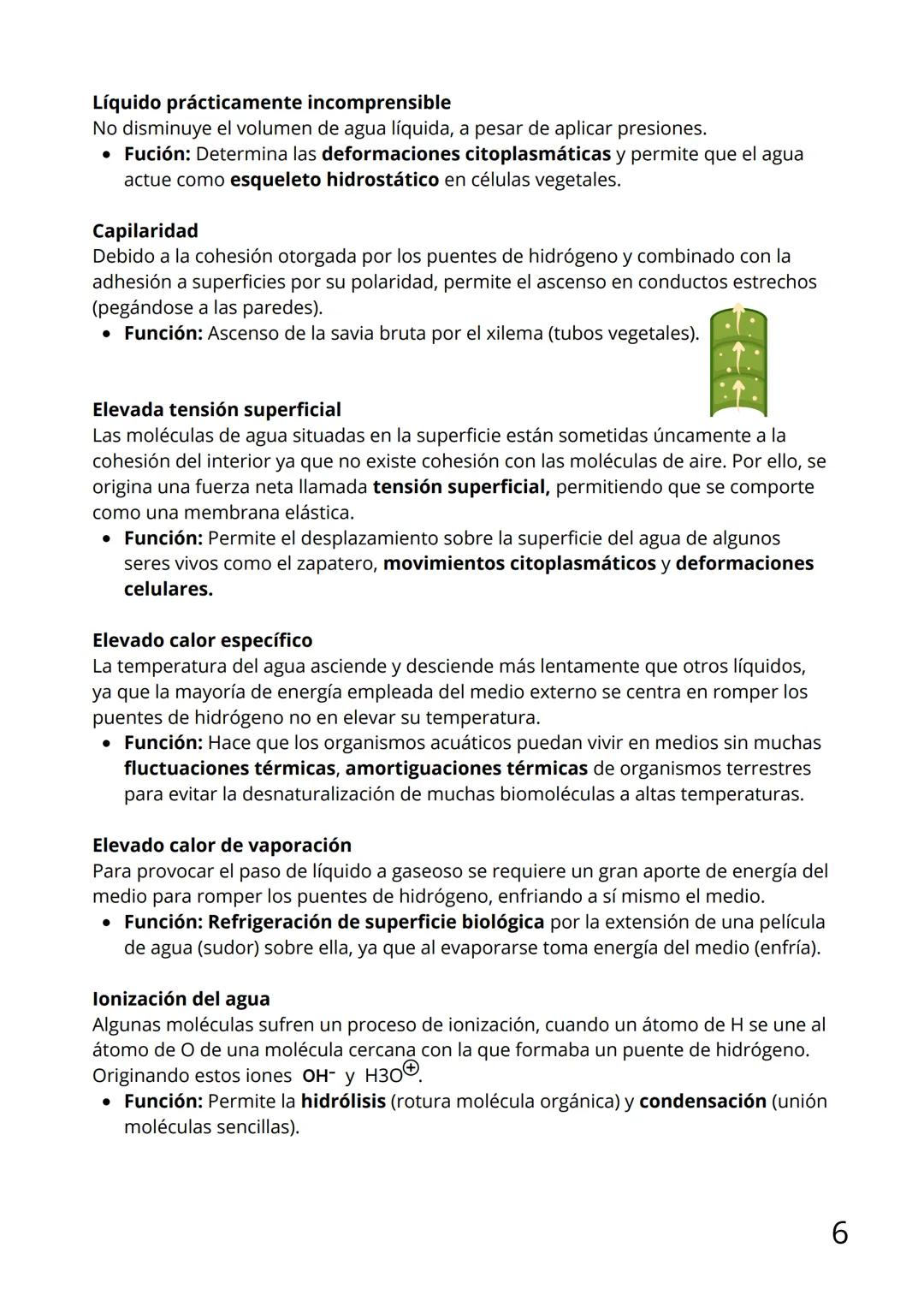 Bloque I:
Biomoléculas Tema 1: Biomoléculas Inorgánicas
Índice
1.Bioelementos:
1.1 Propiedades
1.2 Clasificación
2.Biomoléculas:
2.1 Enlace