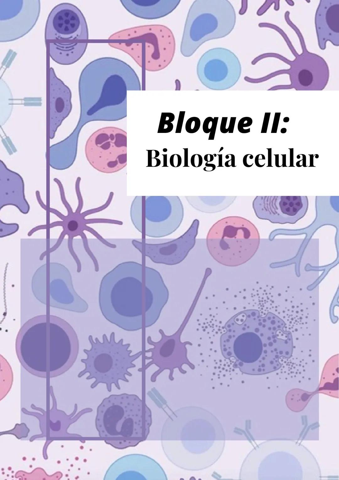 Bloque II:
Biología celular Tema 6: La teoría celular
Índice
1.Introducción
2. Tipos de célula
3.Células procariotas
4.Células eucariotas: