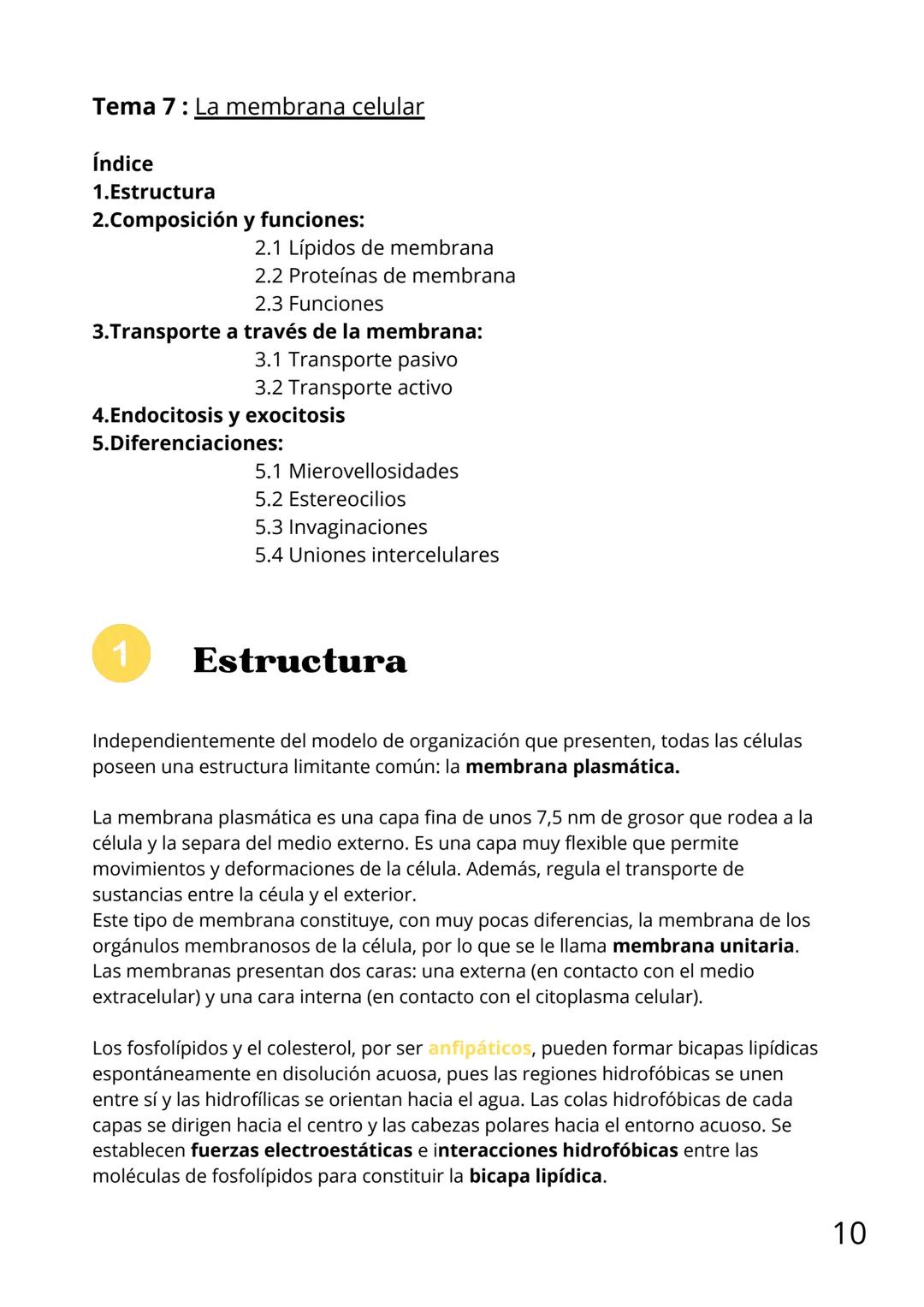 Bloque II:
Biología celular Tema 6: La teoría celular
Índice
1.Introducción
2. Tipos de célula
3.Células procariotas
4.Células eucariotas: