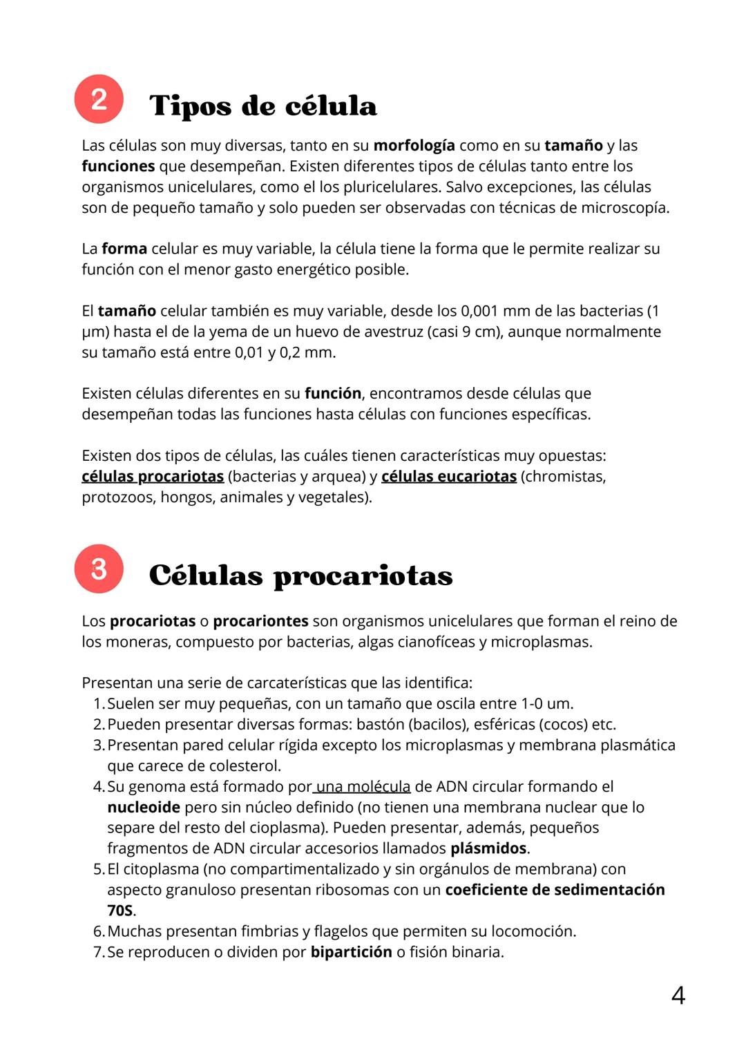 Bloque II:
Biología celular Tema 6: La teoría celular
Índice
1.Introducción
2. Tipos de célula
3.Células procariotas
4.Células eucariotas: