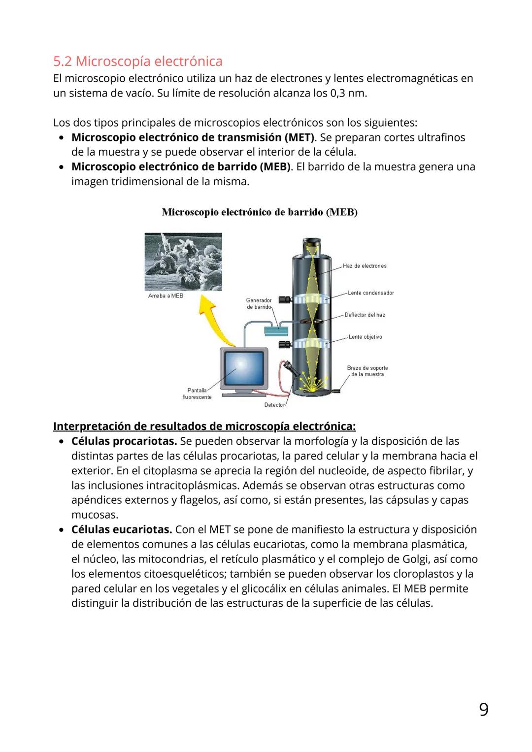 Bloque II:
Biología celular Tema 6: La teoría celular
Índice
1.Introducción
2. Tipos de célula
3.Células procariotas
4.Células eucariotas: