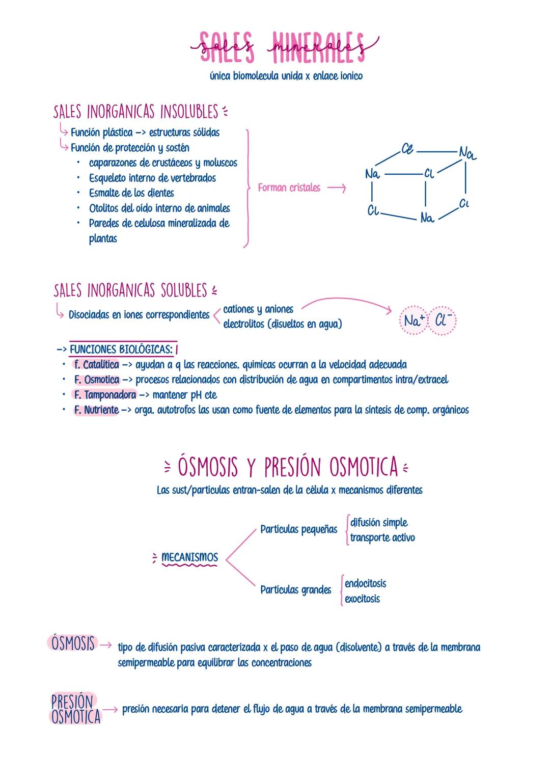# SALES MINERALES
única biomolecula unida x enlace ionico
SALES INORGANICAS INSOLUBLES
→Función plástica -> estructuras sólidas
→Función