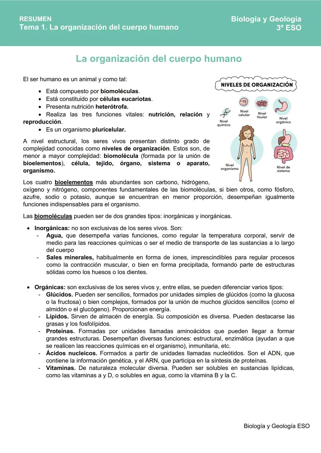 # RESUMEN
Tema 1. La organización del cuerpo humano
Biología y Geología
3º ESO
La organización del cuerpo humano
El ser humano es un anim