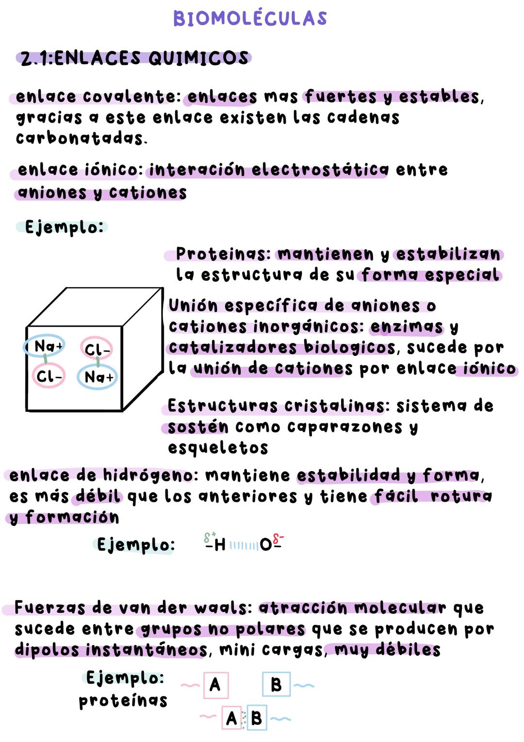 BIOLOGIA # ΤΕΜΑ 1: BIOELEMENTOS
La materia constituyente de los seres vivos esta
compuesta por moléculas.
Estos elementos químicos present