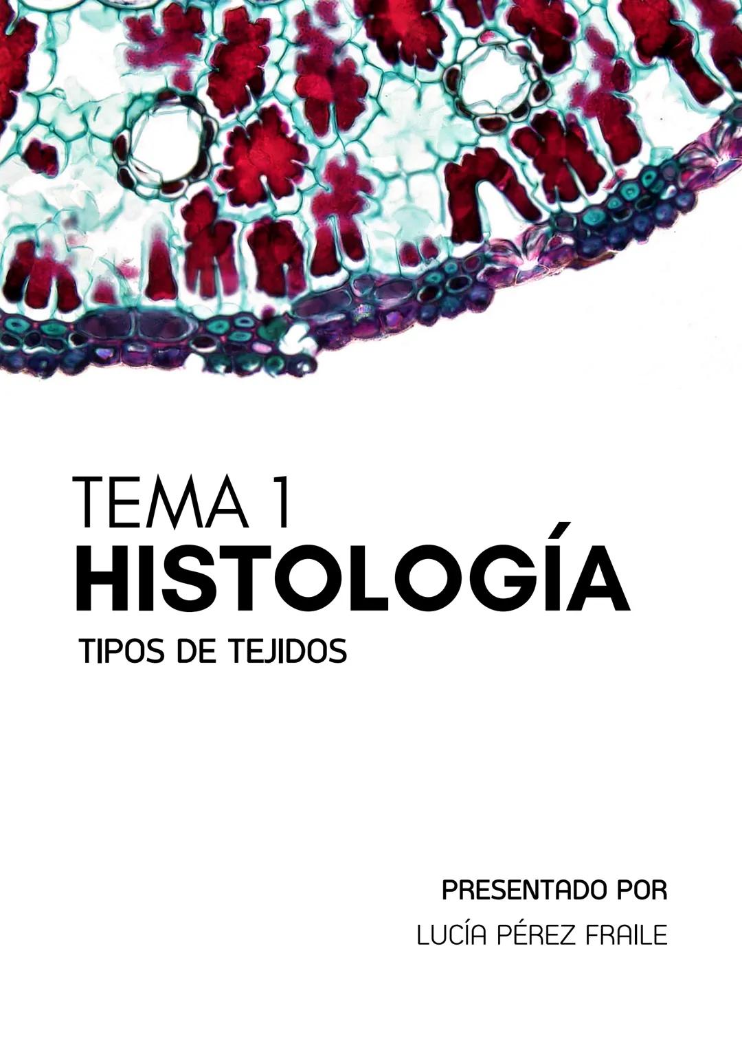 TEMA 1
HISTOLOGÍA
TIPOS DE TEJIDOS
PRESENTADO POR
LUCÍA PÉREZ FRAILE # 1.TEJIDO EPITELIAL
•Sus células están unidas por estructuras como