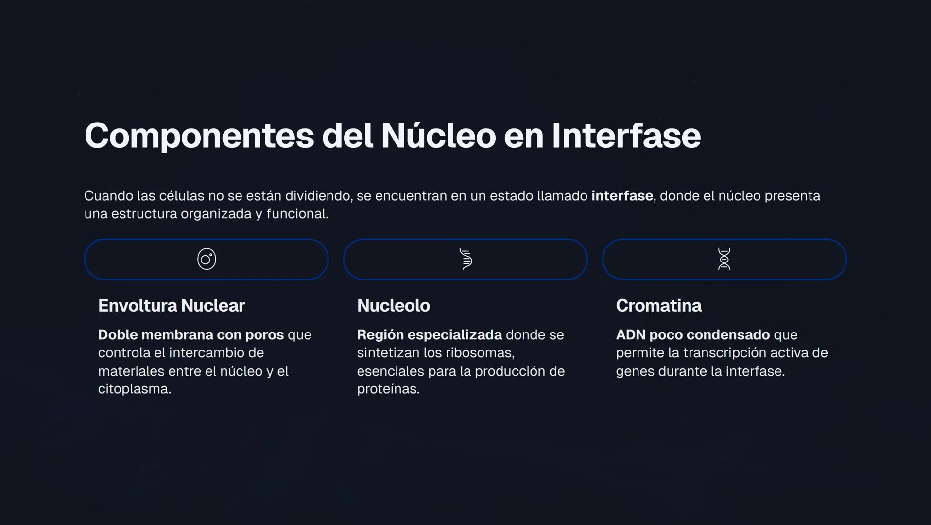 # El Núcleo Celular: Centro de Control de la Vida
El núcleo es el orgánulo más importante de la célula eucariota, actuando como el "centro