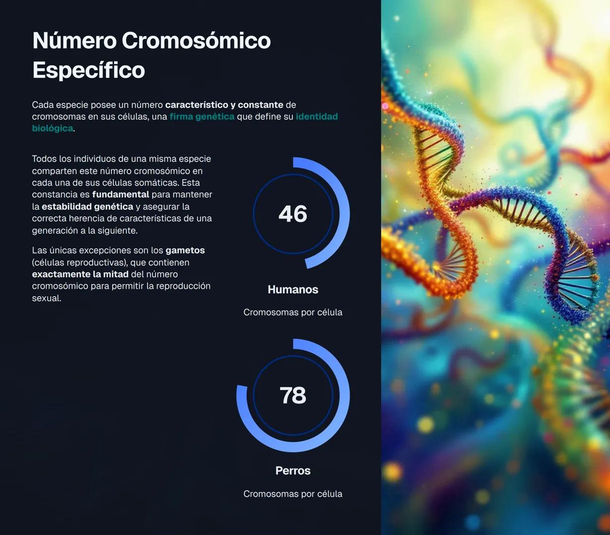 # El Núcleo Celular: Centro de Control de la Vida
El núcleo es el orgánulo más importante de la célula eucariota, actuando como el "centro