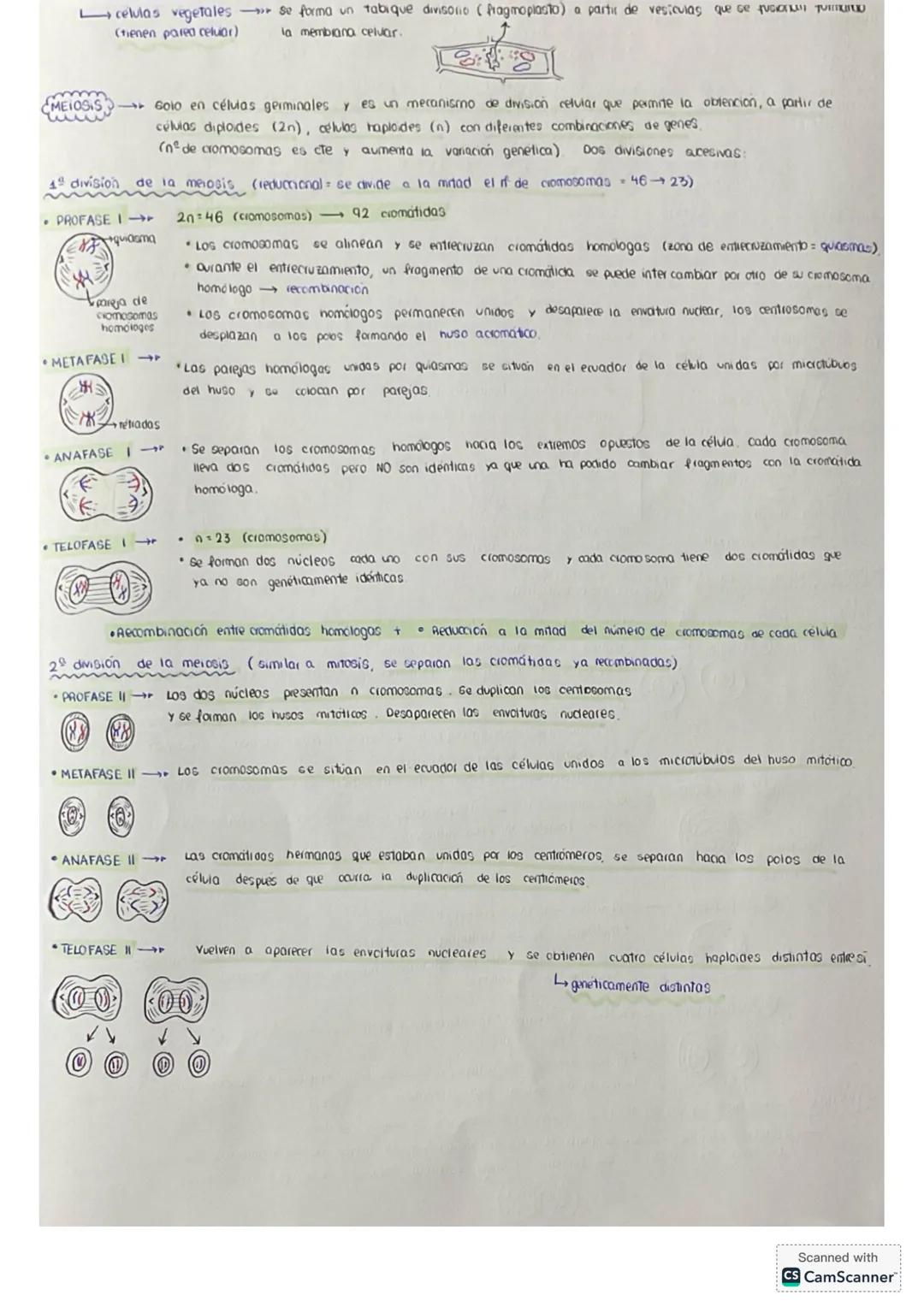 # tema 0: La unidad estructural
y funcional de la VIDA
1. Niveles de agonizo
* Geres vivos
* formadas por los mismos elementos (bi