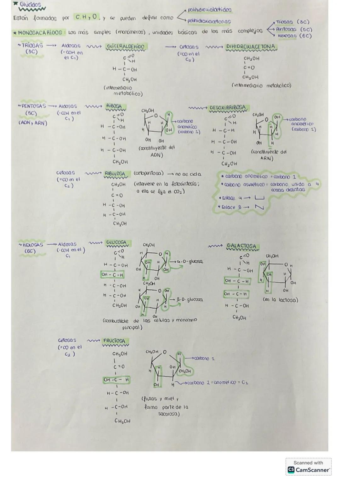 # tema 0: La unidad estructural
y funcional de la VIDA
1. Niveles de agonizo
* Geres vivos
* formadas por los mismos elementos (bi