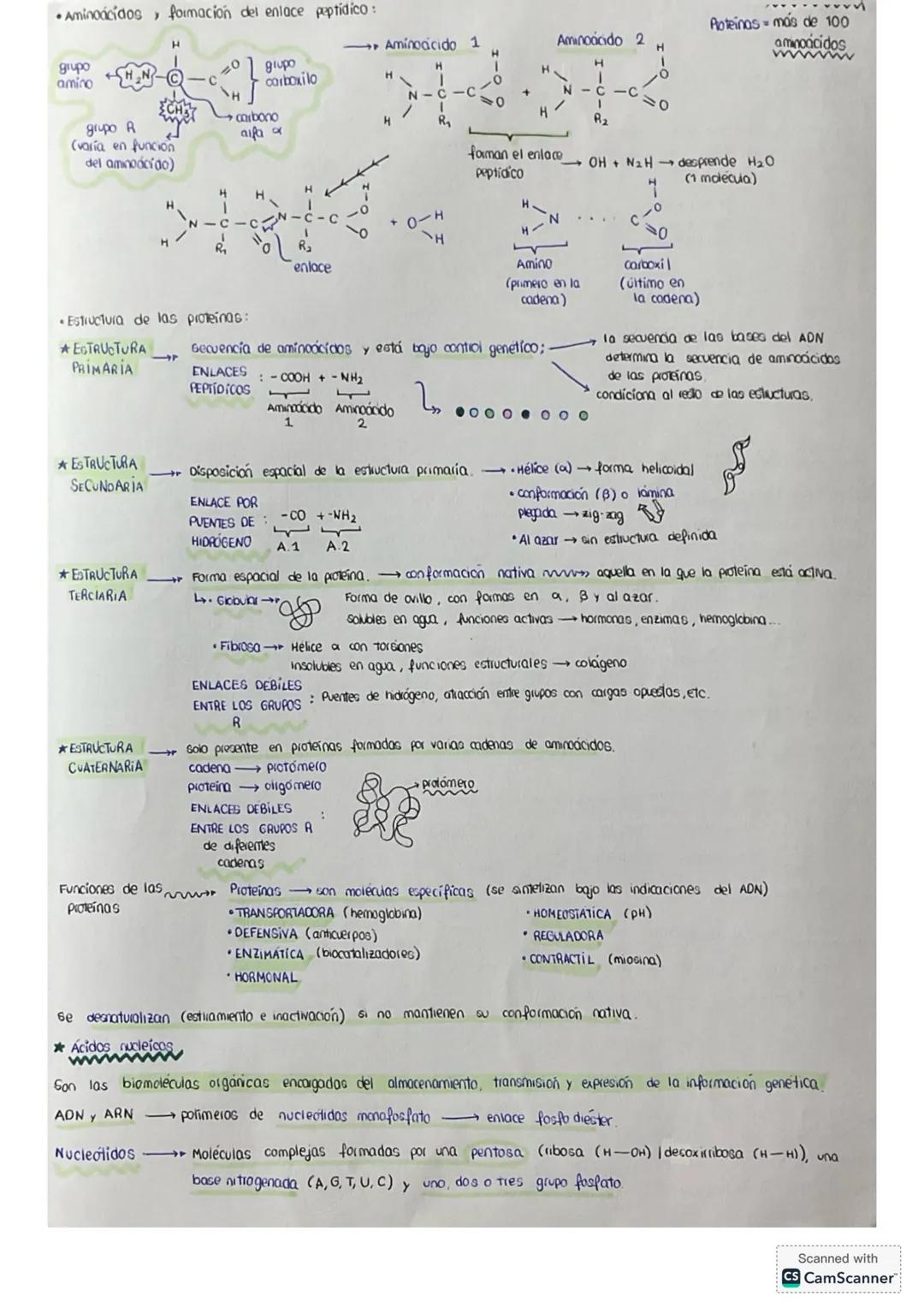 # tema 0: La unidad estructural
y funcional de la VIDA
1. Niveles de agonizo
* Geres vivos
* formadas por los mismos elementos (bi