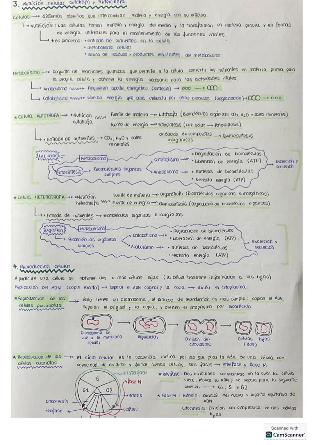 # tema 0: La unidad estructural
y funcional de la VIDA
1. Niveles de agonizo
* Geres vivos
* formadas por los mismos elementos (bi