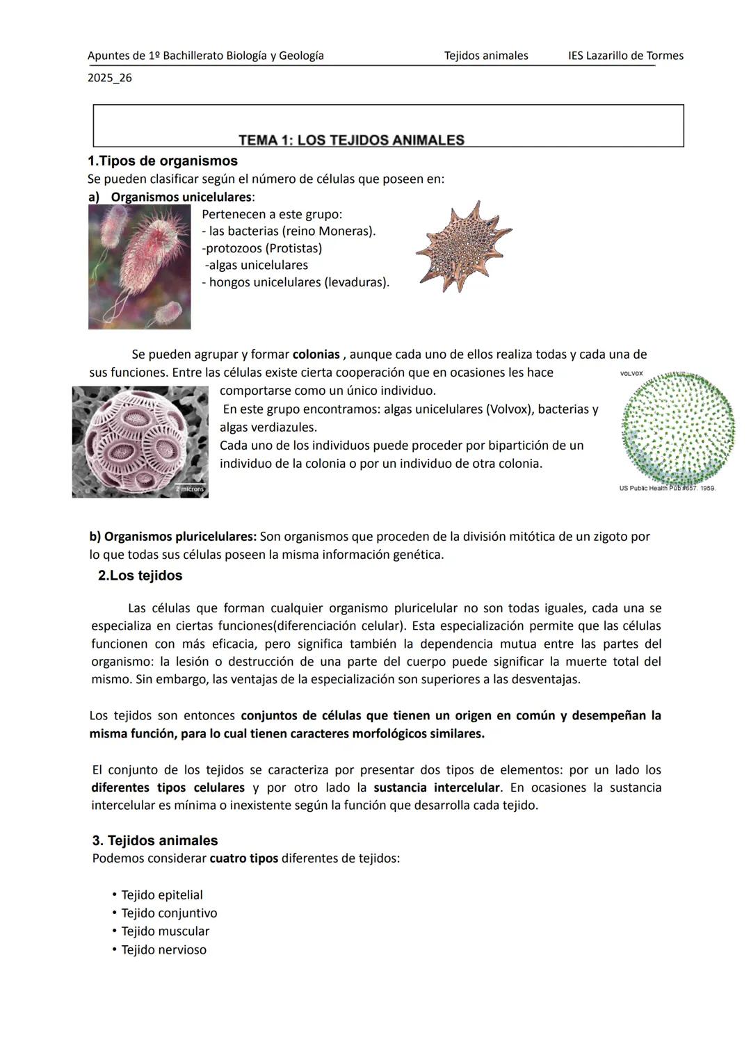 Apuntes de 1º Bachillerato Biología y Geología
2025_26
Tejidos animales
IES Lazarillo de Tormes
# TEMA 1: LOS TEJIDOS ANIMALES
1.Tipos de