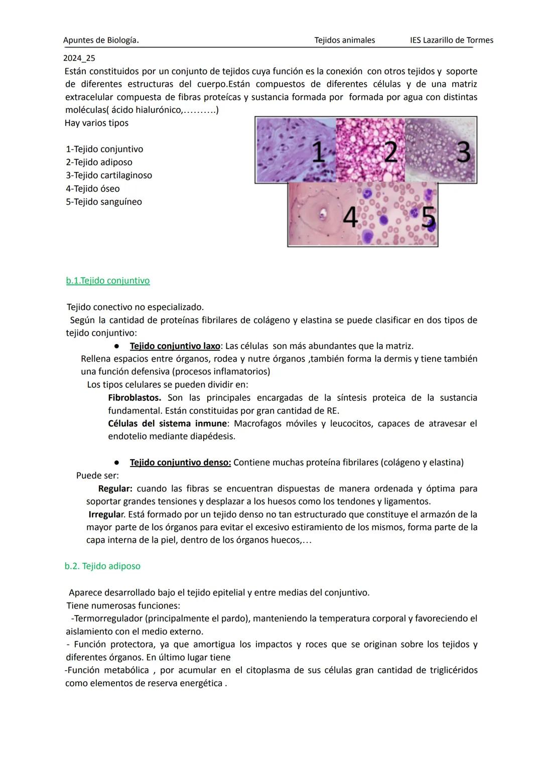 Apuntes de 1º Bachillerato Biología y Geología
2025_26
Tejidos animales
IES Lazarillo de Tormes
# TEMA 1: LOS TEJIDOS ANIMALES
1.Tipos de