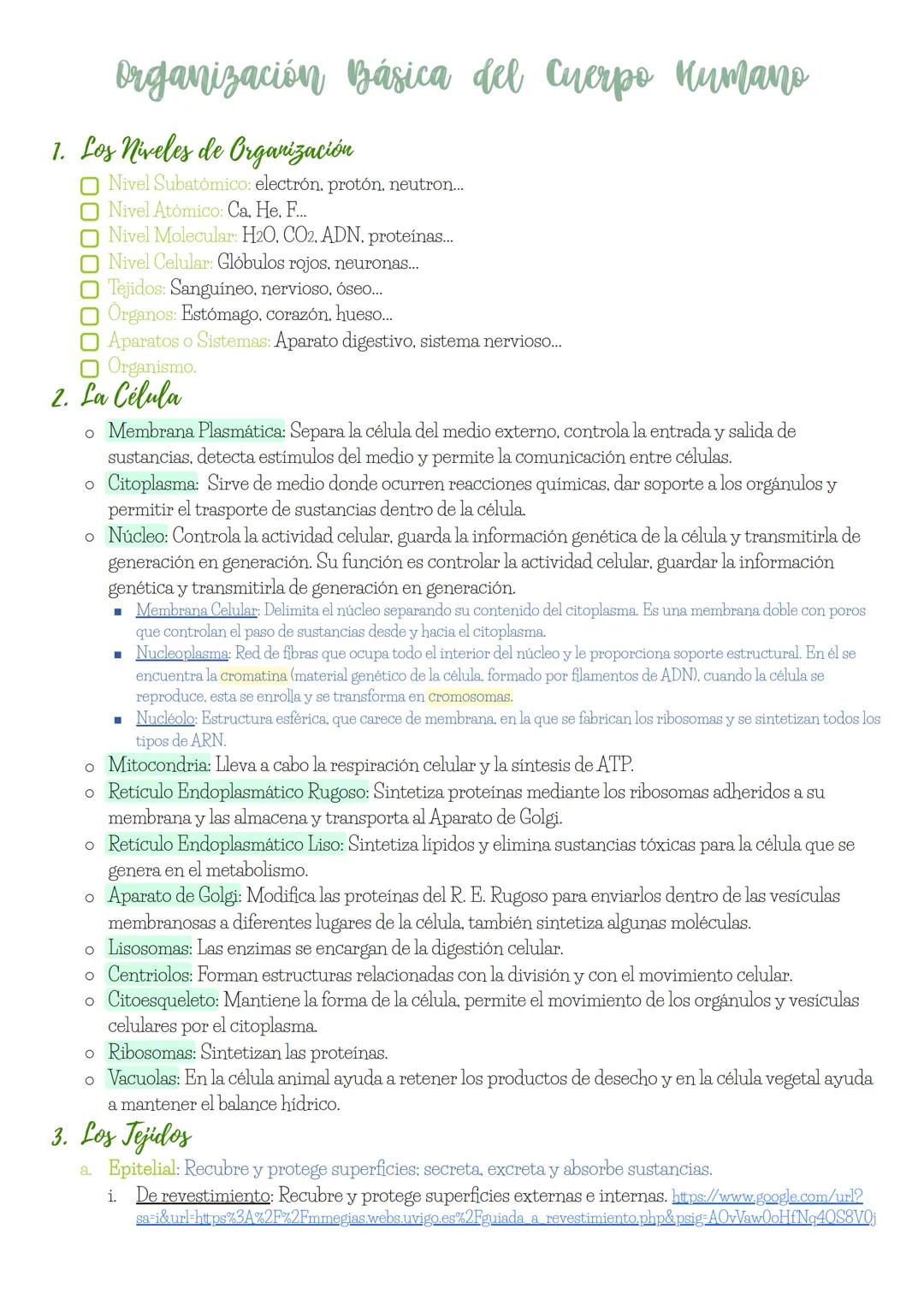 # Organización Básica del Cuerpo Humano
1. Los Niveles de Organización
Nivel Subatómico: electrón, protón, neutron...
Nivel Atómico: Ca,