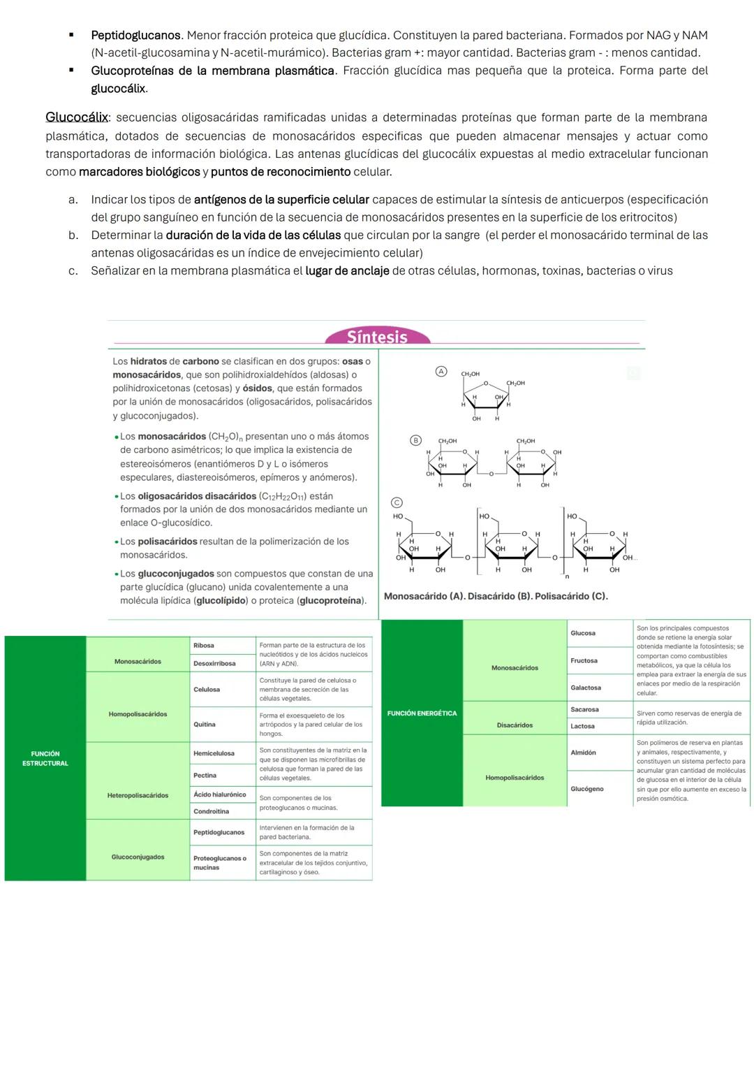 # BIOELEMENTOS O ELEMENTOS BIOGÉNICOS
Los bioelementos forman las biomoléculas (moléculas indispensables para la vida).
Bioelementos mayor