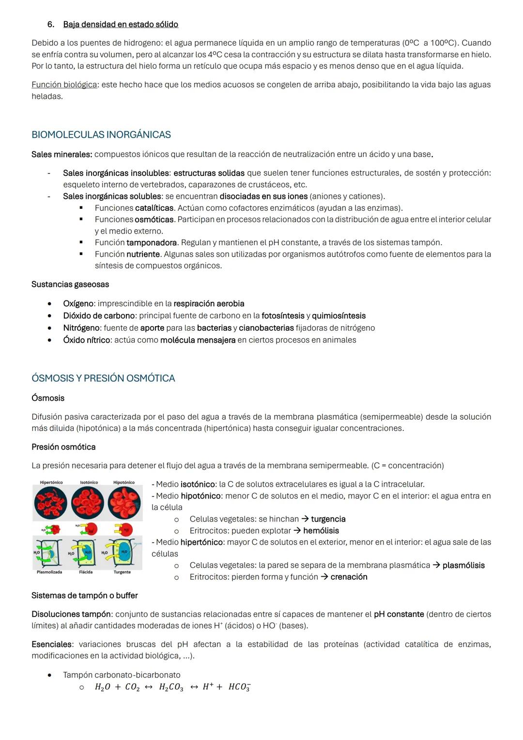 # BIOELEMENTOS O ELEMENTOS BIOGÉNICOS
Los bioelementos forman las biomoléculas (moléculas indispensables para la vida).
Bioelementos mayor