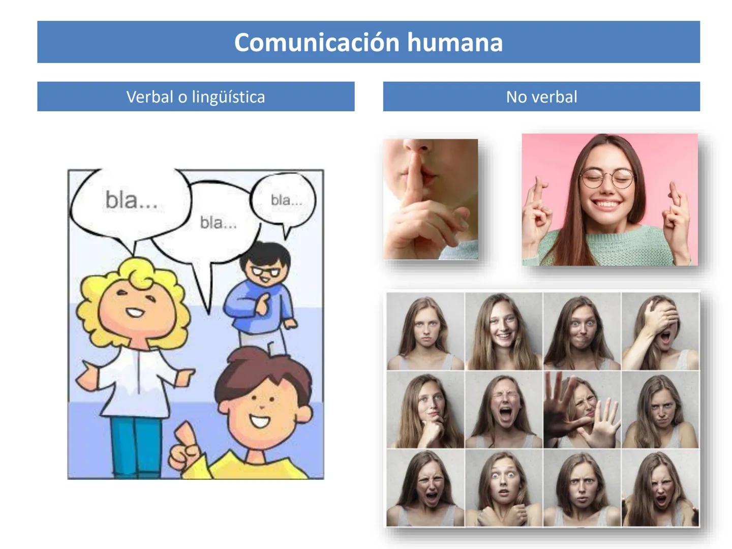 Lengua castellana
y Literatura
Las redes...
¿perjudican o benefician
el desarrollo
3
de la lengua
castellana?
ESO
Casals
CÓDIGO
y el buen us