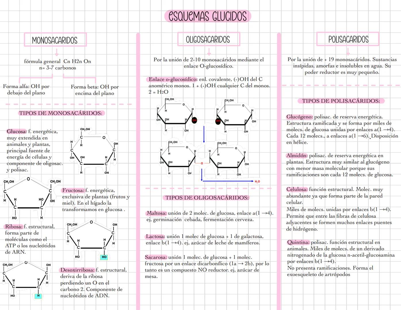 # ESQUEMAS GLUCIDOS
MONOSACARIDOS
fórmula general Cn H2n On
n= 3-7 carbonos
Forma alfa: OH por
debajo del plano
Forma beta: OH por
enci