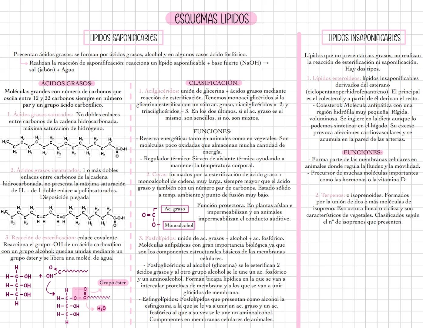 # ESQUEMAS GLUCIDOS
MONOSACARIDOS
fórmula general Cn H2n On
n= 3-7 carbonos
Forma alfa: OH por
debajo del plano
Forma beta: OH por
enci
