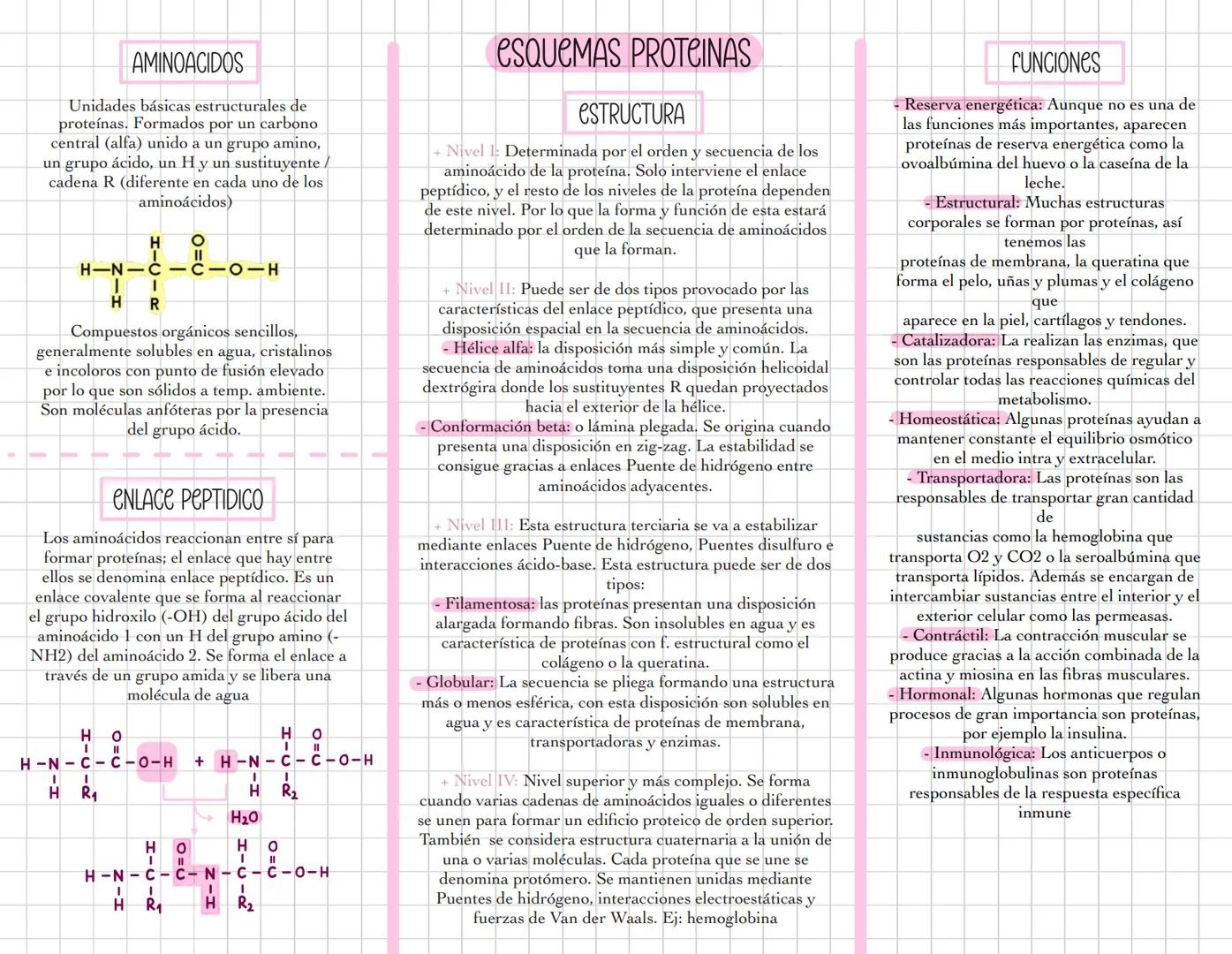 # ESQUEMAS GLUCIDOS
MONOSACARIDOS
fórmula general Cn H2n On
n= 3-7 carbonos
Forma alfa: OH por
debajo del plano
Forma beta: OH por
enci