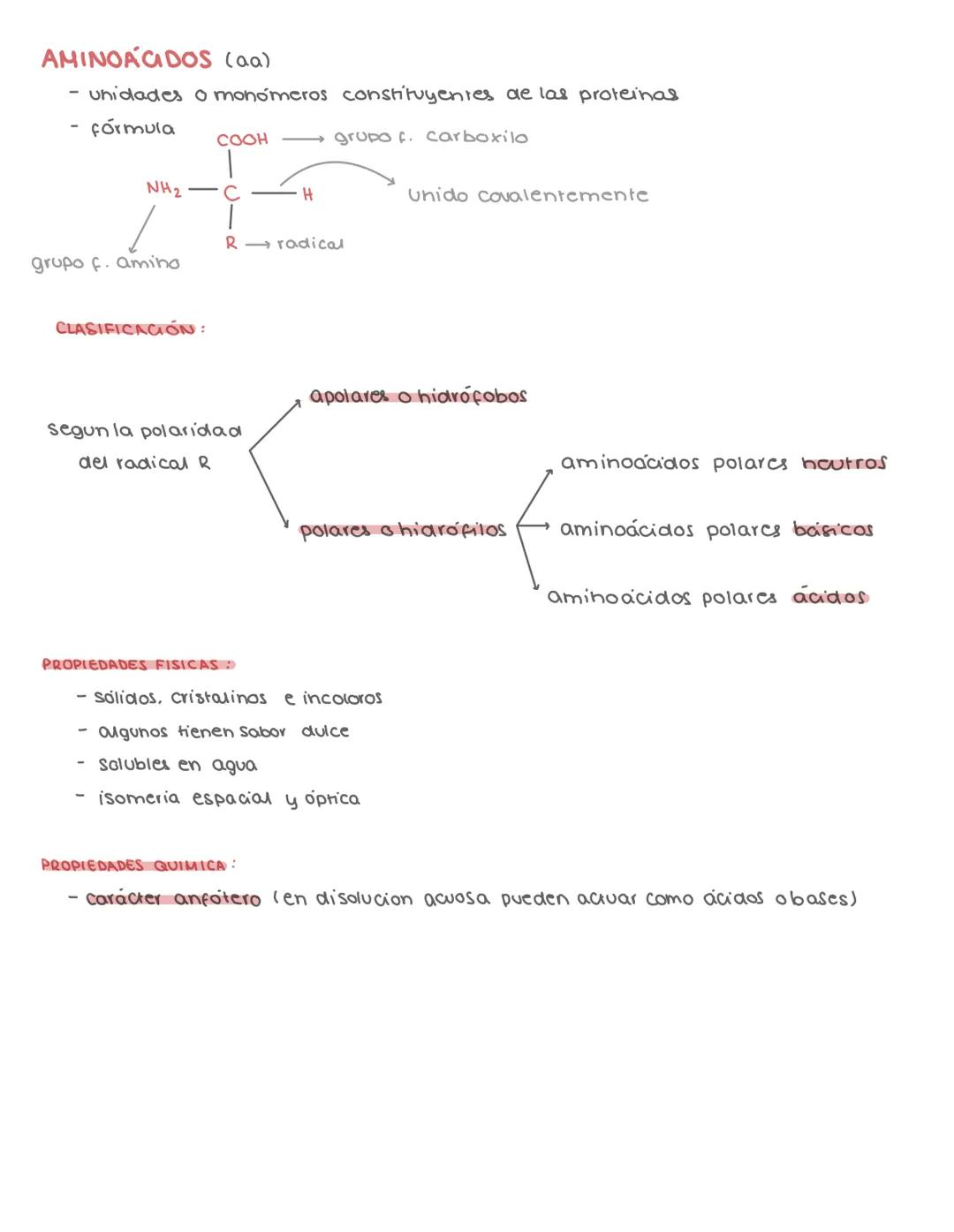 # PROTEINAS
CLASIFICACION
- biomoleculas orgánicas
- C,O,H,N (P, S, Fe, Cu)
- polimeros linealer no ramificados de aminoácidos
- se une