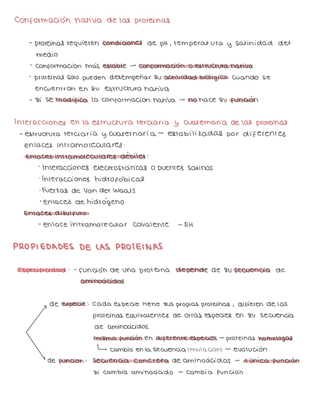 # PROTEINAS
CLASIFICACION
- biomoleculas orgánicas
- C,O,H,N (P, S, Fe, Cu)
- polimeros linealer no ramificados de aminoácidos
- se une