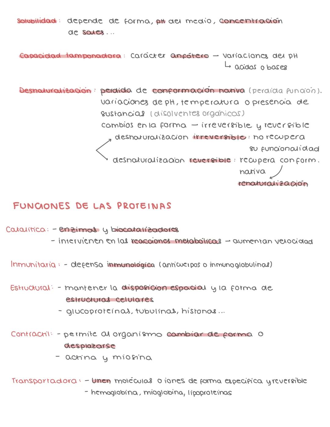 # PROTEINAS
CLASIFICACION
- biomoleculas orgánicas
- C,O,H,N (P, S, Fe, Cu)
- polimeros linealer no ramificados de aminoácidos
- se une