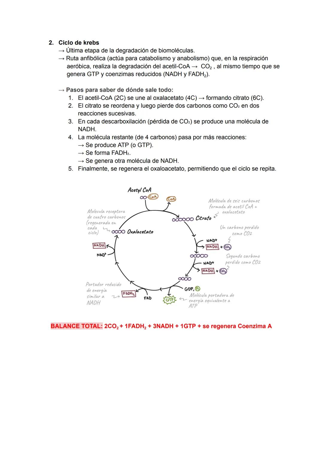 # Catabolismo y Anabolismo T7
1. CATABOLISMO
Se produce la degradación (oxidación) de moléculas
orgánicas para obtener ATP.
Durante la ox