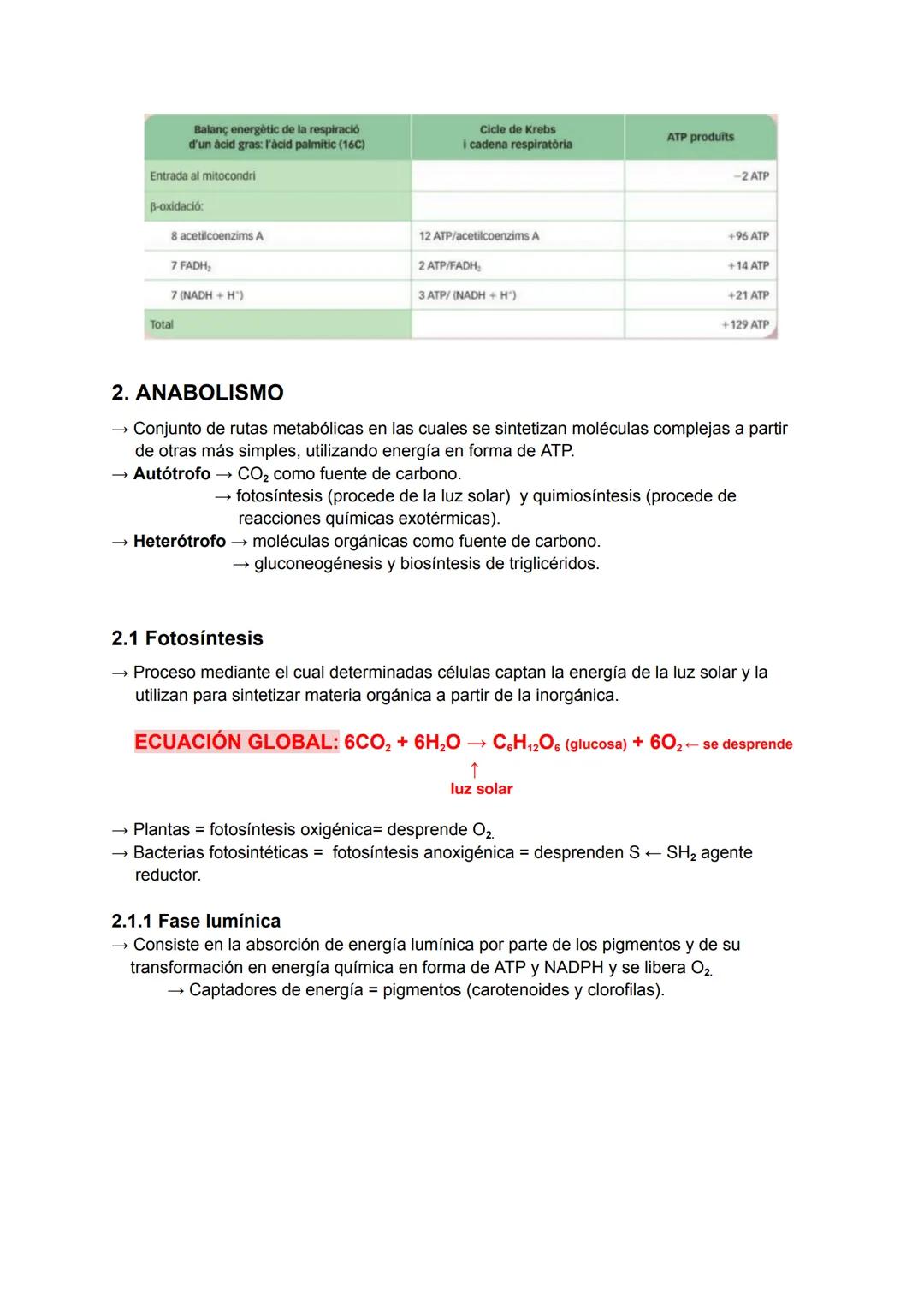 # Catabolismo y Anabolismo T7
1. CATABOLISMO
Se produce la degradación (oxidación) de moléculas
orgánicas para obtener ATP.
Durante la ox