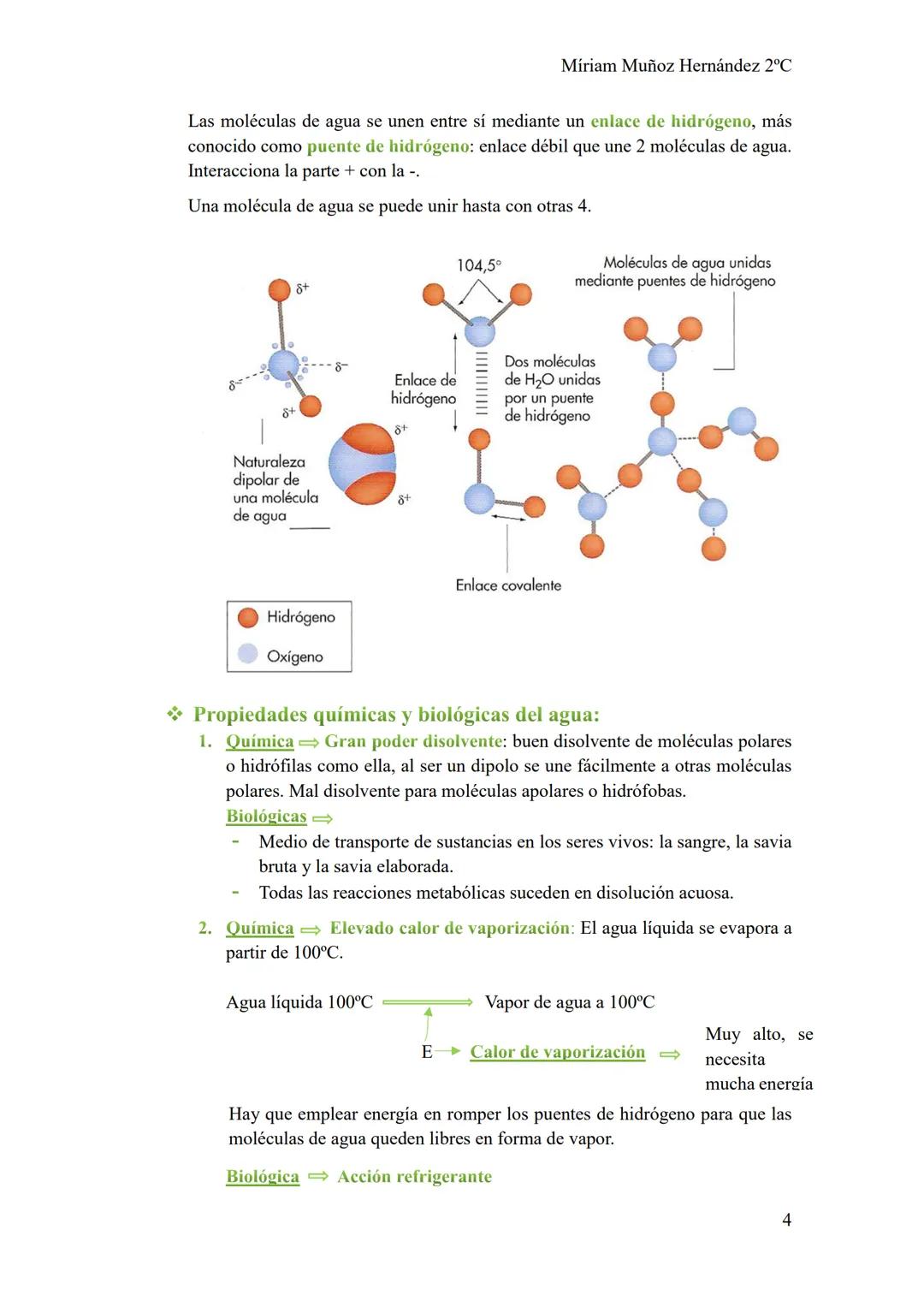 Míriam Muñoz Hernández 2°C
# Tema 1
## LOS BIOELEMENTOS, EL AGUA Y LAS SALES
### MINERALES
1. Los enlaces químicos.
Las uniones entre lo