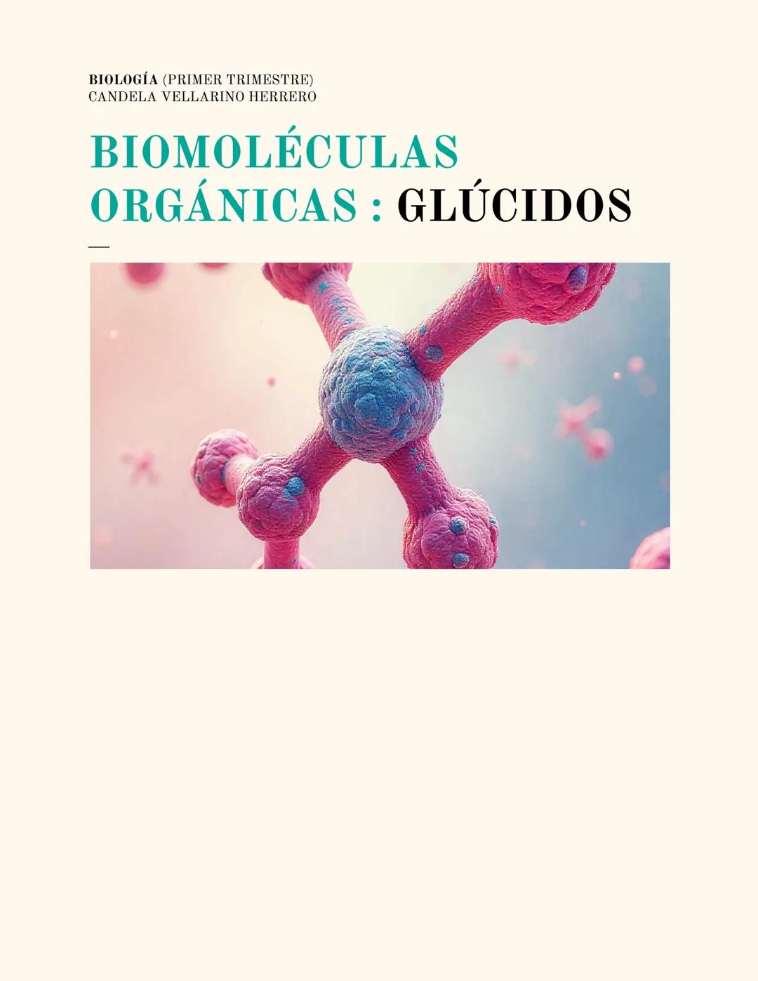 # BIOLOGÍA (PRIMER TRIMESTRE)
CANDELA VELLARINO HERRERO
# BIOMOLÉCULAS
# ORGÁNICAS : GLÚCIDOS 2
1.- ¿Qué son?
2.- Clasificación general