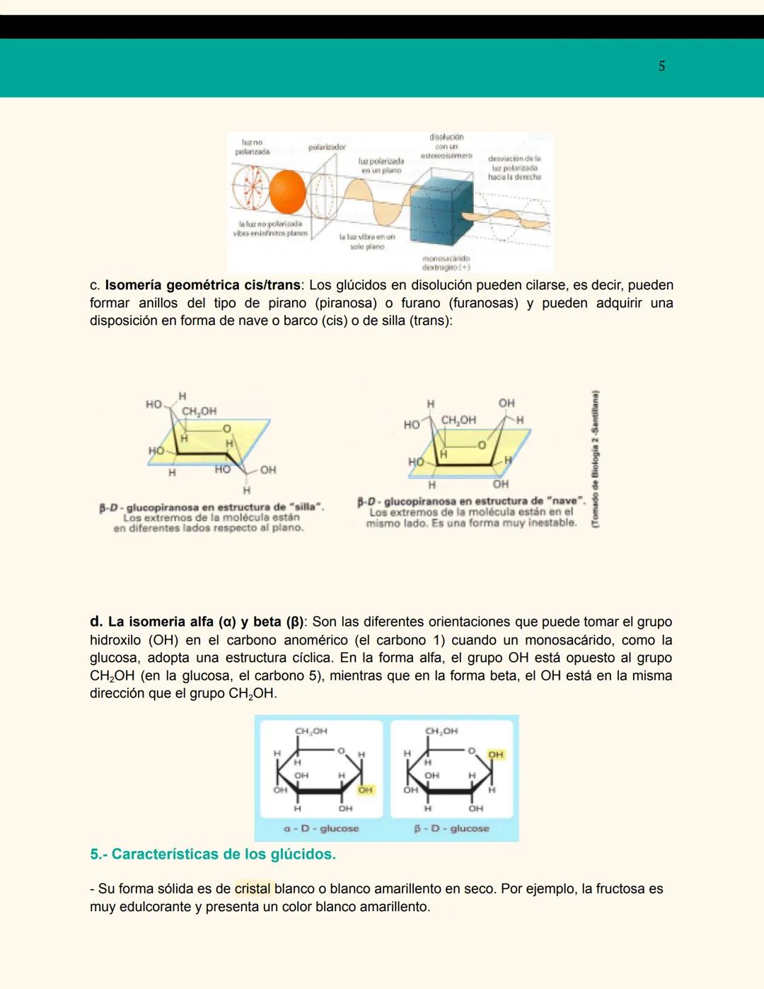 # BIOLOGÍA (PRIMER TRIMESTRE)
CANDELA VELLARINO HERRERO
# BIOMOLÉCULAS
# ORGÁNICAS : GLÚCIDOS 2
1.- ¿Qué son?
2.- Clasificación general