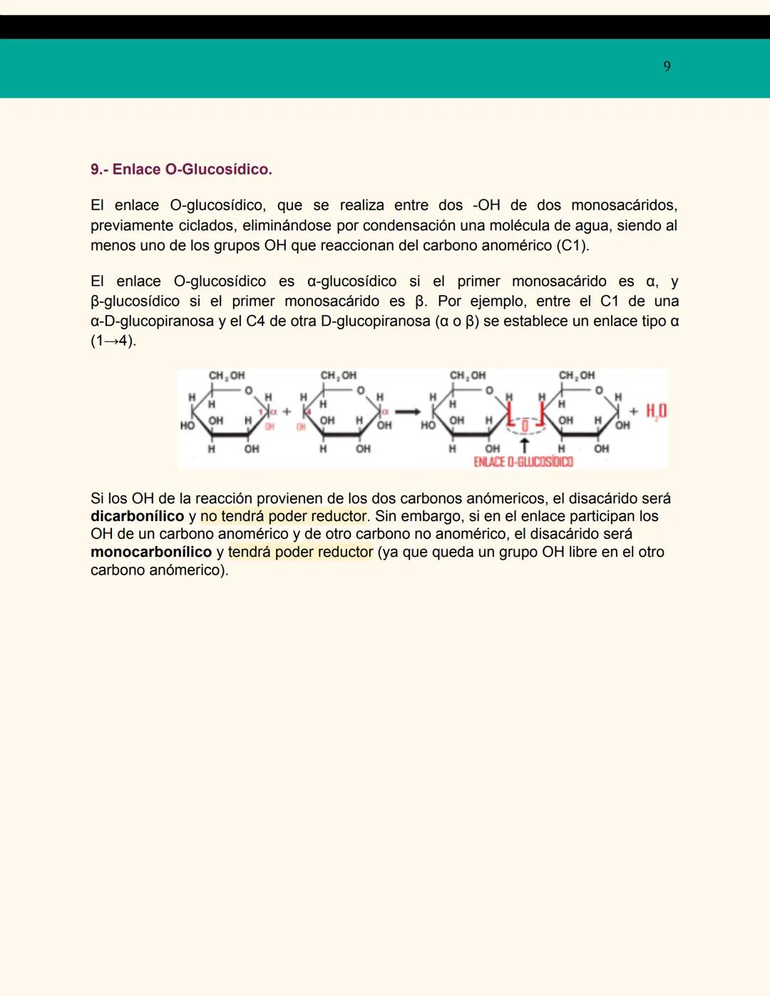 # BIOLOGÍA (PRIMER TRIMESTRE)
CANDELA VELLARINO HERRERO
# BIOMOLÉCULAS
# ORGÁNICAS : GLÚCIDOS 2
1.- ¿Qué son?
2.- Clasificación general