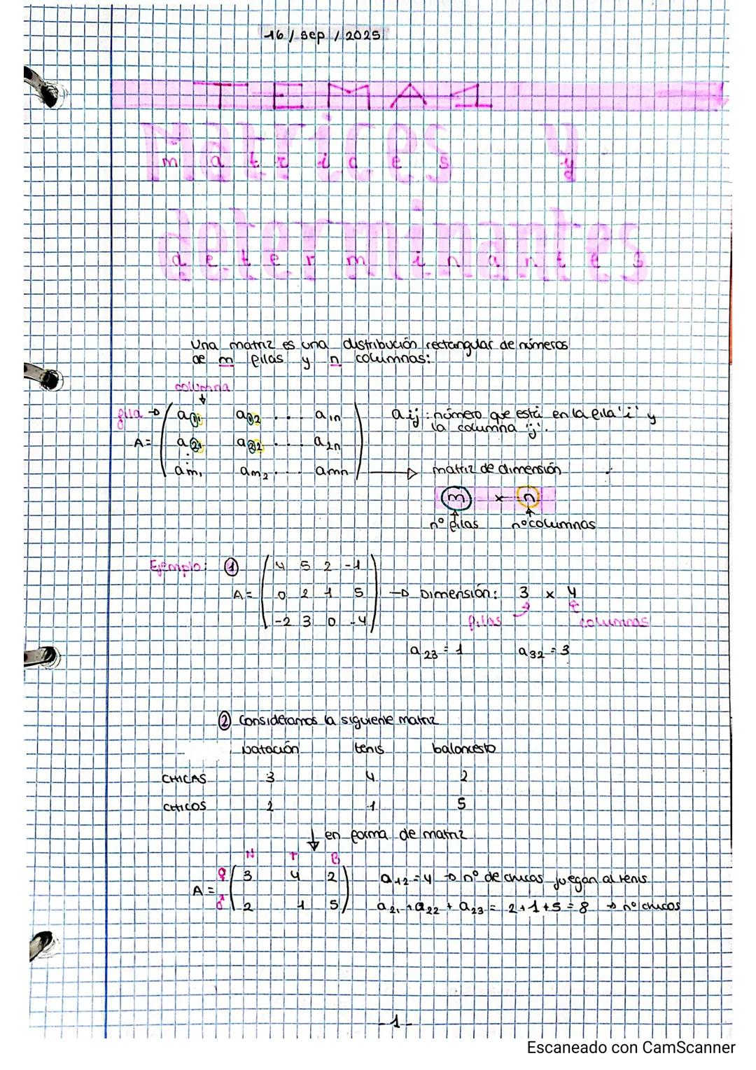 Matrices y determinantes T.1.2° Bach