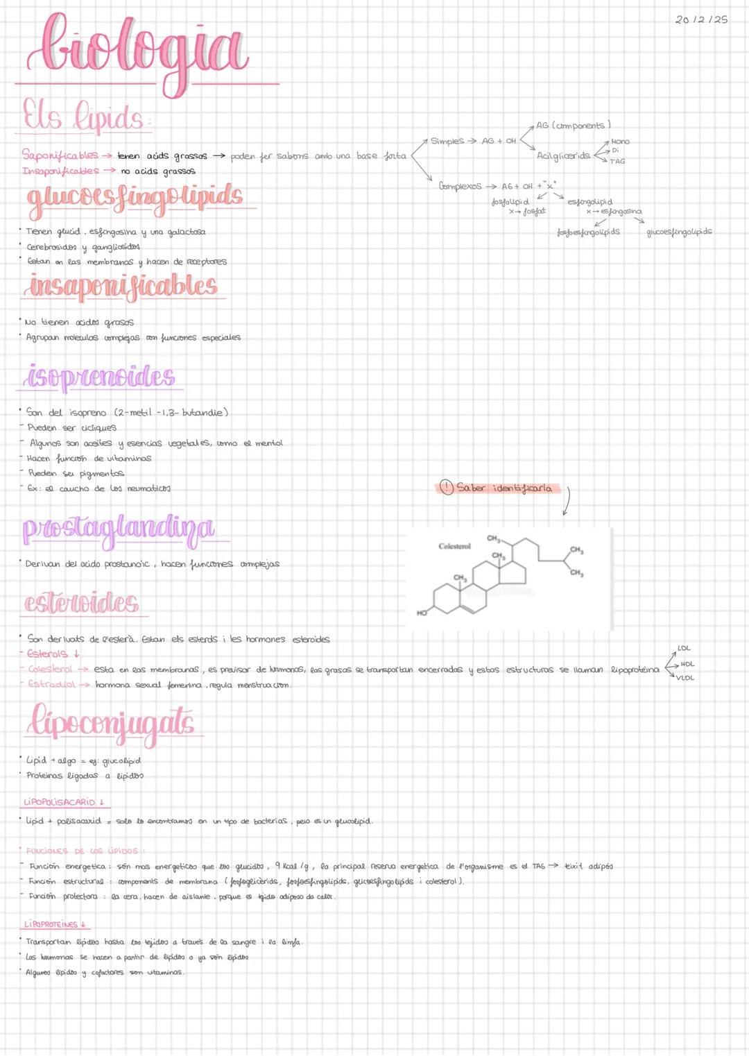 # biologia
Els lipids
Saponificables $\rightarrow$ tenen acids grassos $\rightarrow$ poden fer sabens amb una base forta
Insaponificables