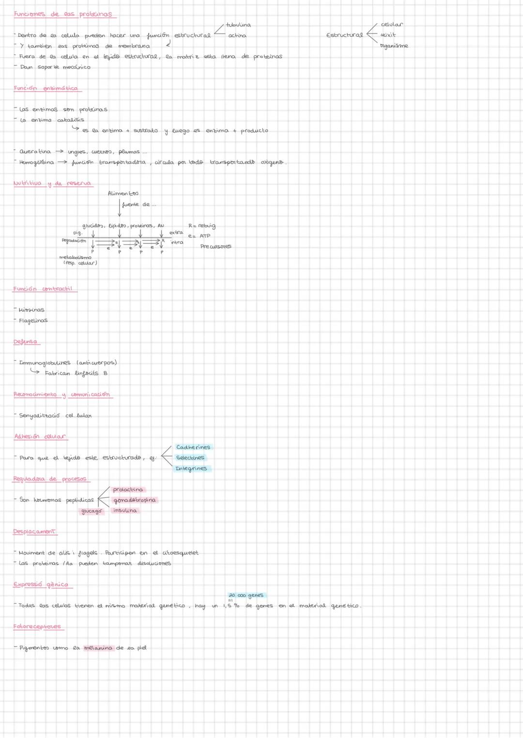 # biologia
Els lipids
Saponificables $\rightarrow$ tenen acids grassos $\rightarrow$ poden fer sabens amb una base forta
Insaponificables