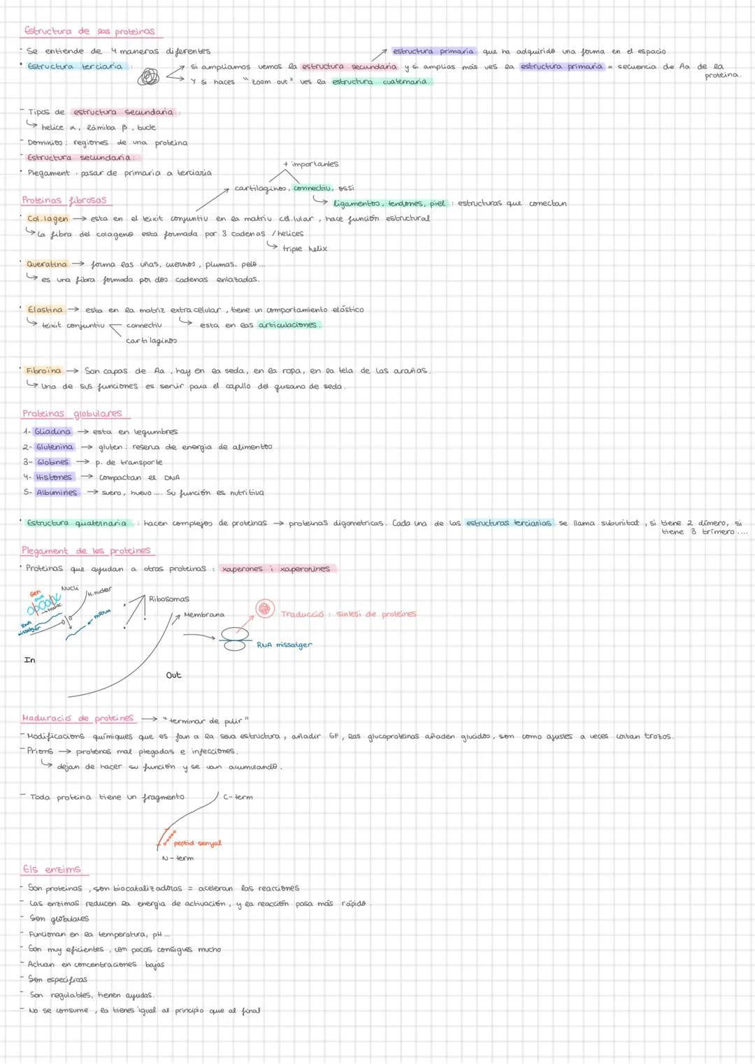 # biologia
Els lipids
Saponificables $\rightarrow$ tenen acids grassos $\rightarrow$ poden fer sabens amb una base forta
Insaponificables
