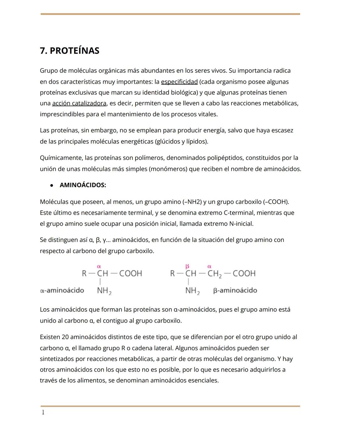7. PROTEÍNAS
Grupo de moléculas orgánicas más abundantes en los seres vivos. Su importancia radica
en dos características muy importantes: