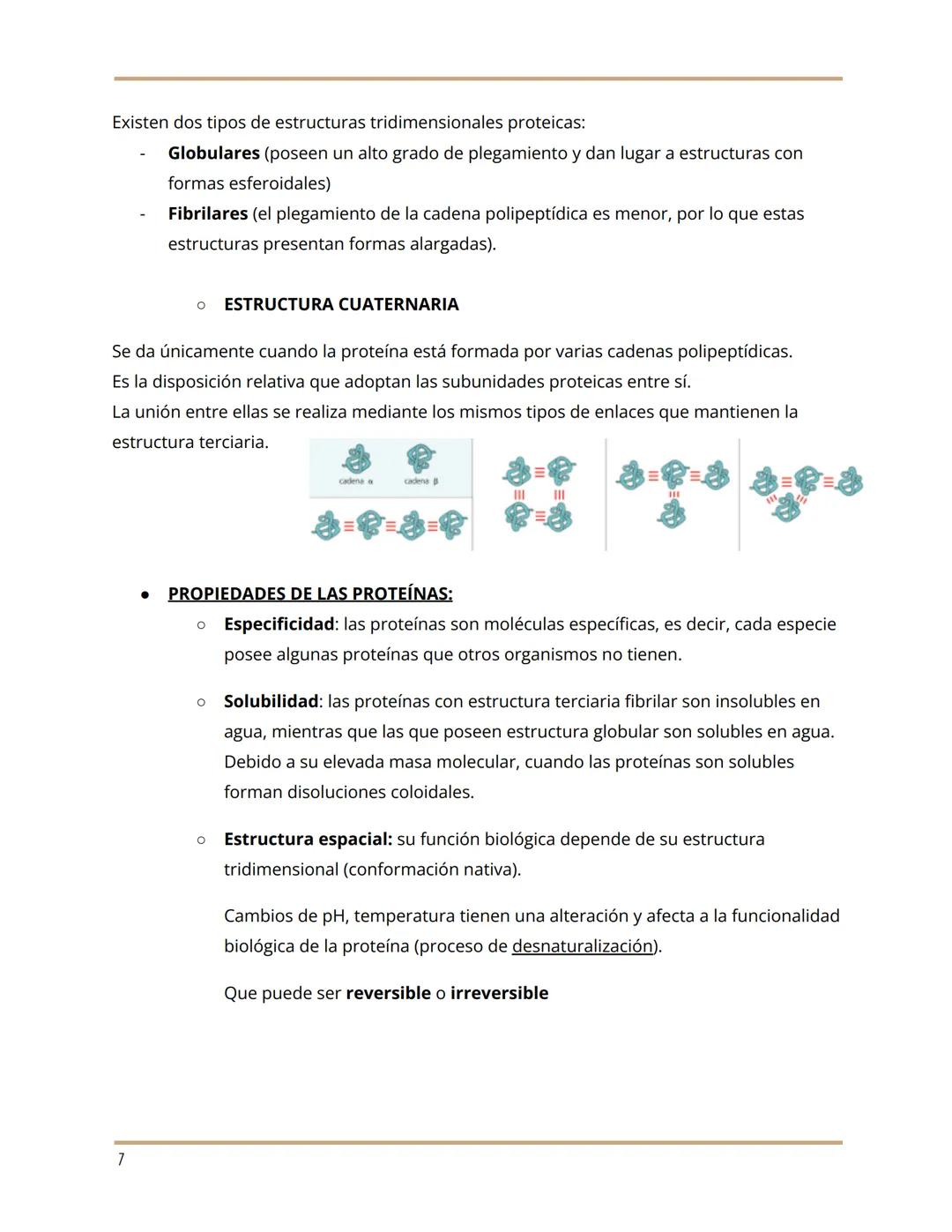 7. PROTEÍNAS
Grupo de moléculas orgánicas más abundantes en los seres vivos. Su importancia radica
en dos características muy importantes: