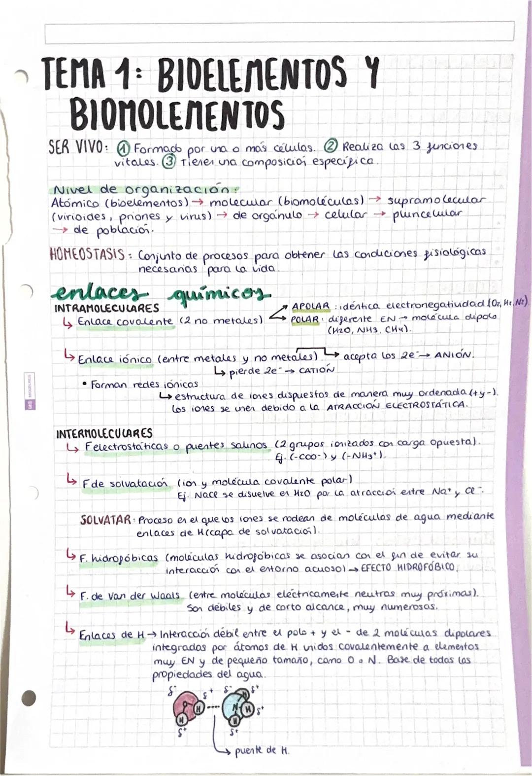 # TEMA 1: BIDELEMENTOS Y
BIOMOLEMENTOS
SER VIVO: ① Formado por una o más células. ② Realiza las 3 funciones.
vitales. ③ Tiener una composici