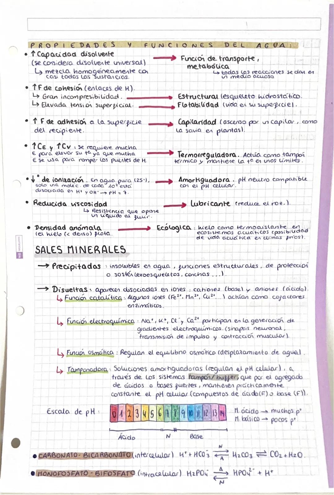 # TEMA 1: BIDELEMENTOS Y
BIOMOLEMENTOS
SER VIVO: ① Formado por una o más células. ② Realiza las 3 funciones.
vitales. ③ Tiener una composici