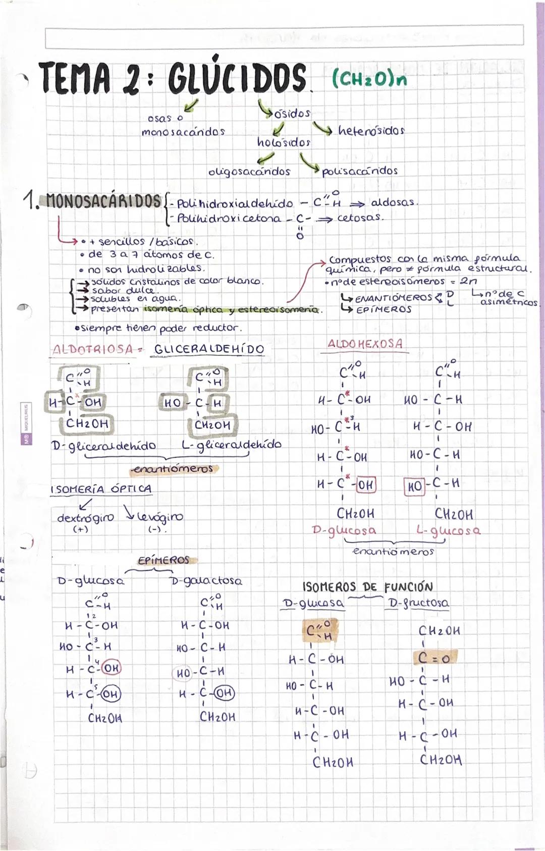 # TEMA 1: BIDELEMENTOS Y
BIOMOLEMENTOS
SER VIVO: ① Formado por una o más células. ② Realiza las 3 funciones.
vitales. ③ Tiener una composici