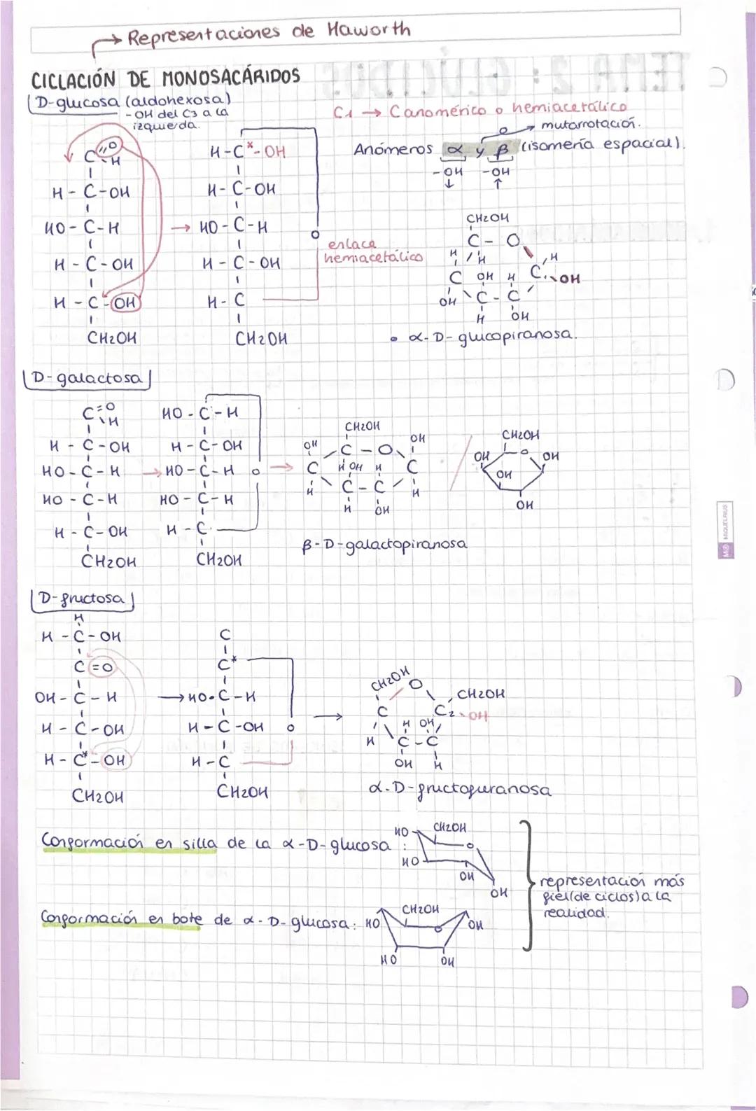 # TEMA 1: BIDELEMENTOS Y
BIOMOLEMENTOS
SER VIVO: ① Formado por una o más células. ② Realiza las 3 funciones.
vitales. ③ Tiener una composici